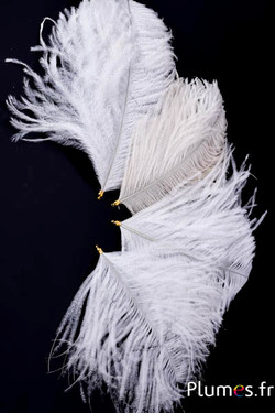 Pendentif tête d´autruche - 17-20 cm - blanc-crème
